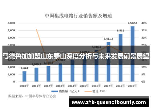马德鲁加加盟山东泰山深度分析与未来发展前景展望