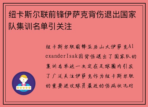 纽卡斯尔联前锋伊萨克背伤退出国家队集训名单引关注
